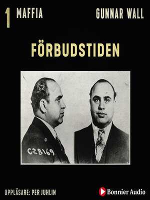 cover image of Förbudstiden